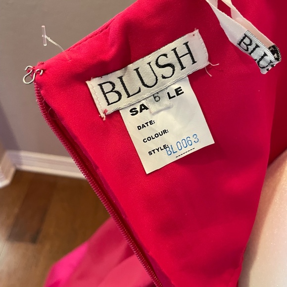 Blush Sz 6 BNWOT Fuchsia Ballgown Duchess Satin - Picture 5 of 9